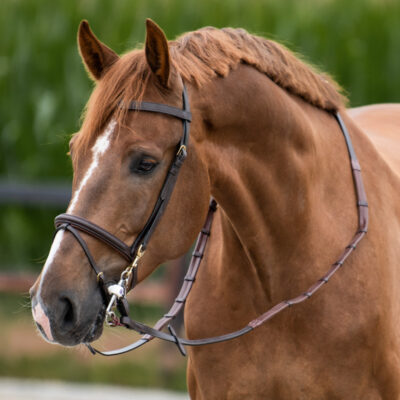 one-equestrian-training-kantar-szarakka