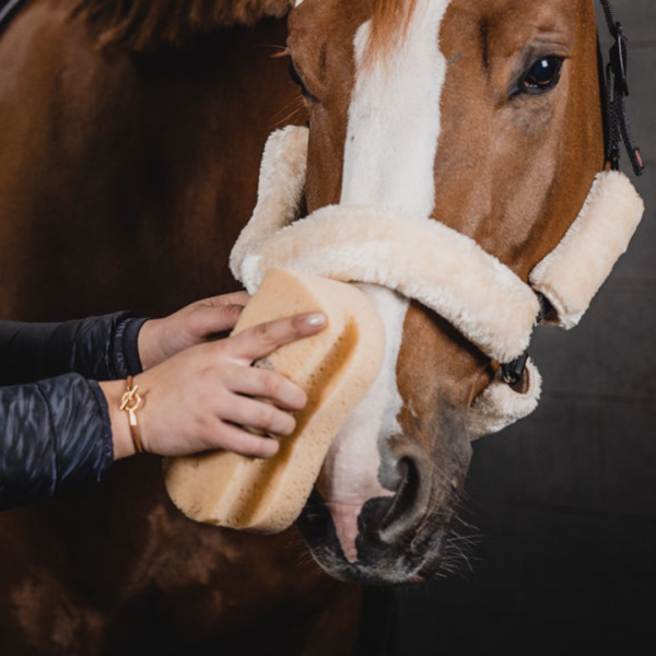 one-equestrian-grip-szivacs